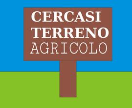 Terreno agricolo