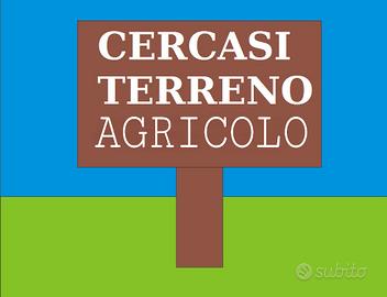 Terreno agricolo