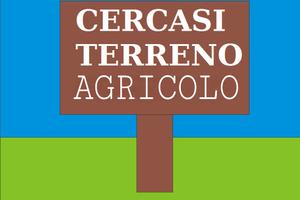 Terreno agricolo