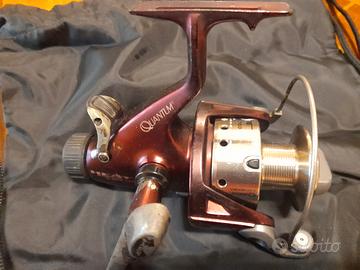 mulinello quantum  da carpa