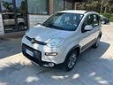 fiat-panda-1-3-mjt-s-s-4x4-trekking