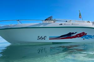 Renato Molinari Falcon 560