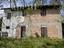 Immagine 5