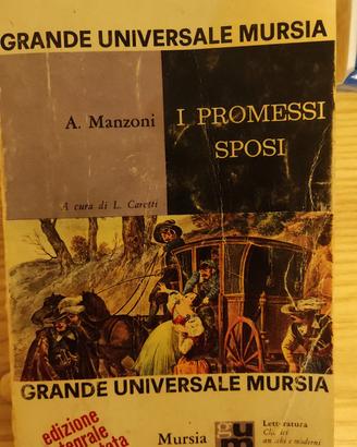Libro I promessi sposi edizione integrale