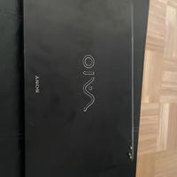 Sony vaio leggere bene