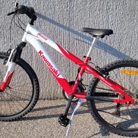 MTB Kawasaki ruote da 24 "