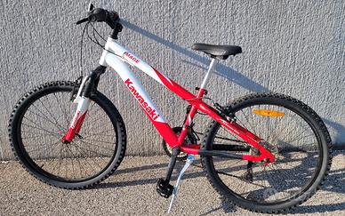MTB Kawasaki ruote da 24 "