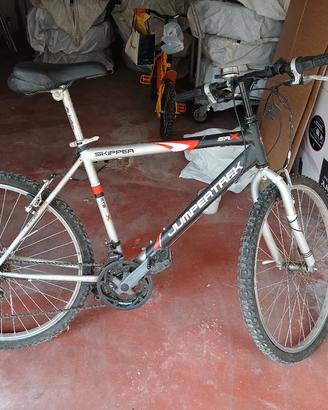 Bicicletta da ragazzo