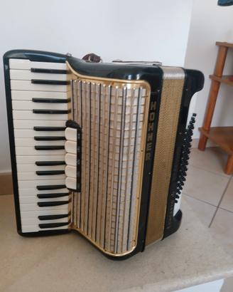 fisarmonica