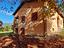 Immagine 21