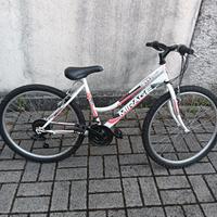 Bicicletta Ragazzo/Ragazza  26 pollici 