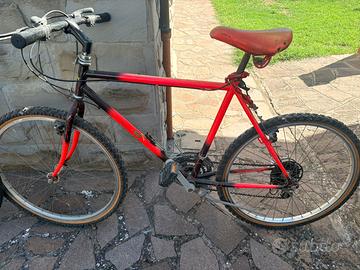 Mountain bike anni 90