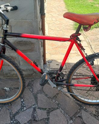 Mountain bike anni 90