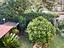 Immagine 12