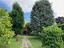 Immagine 24