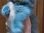 Immagine 4