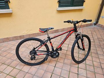 Bicicletta da bambino 09-13 anni