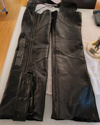 Chaps Harley Davidson pelle