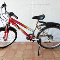 Bici MTB Olmo - ruote 24 pollici