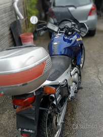 Honda Transalp anno 2004