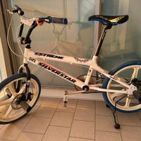 Bicicletta BMX
