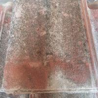 Tegole doppia romana