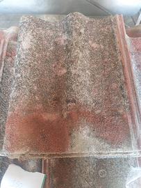 Tegole doppia romana