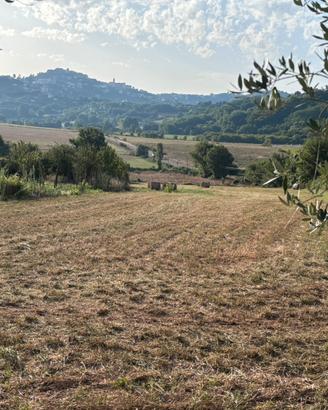 Terreno agricolo con casetta e locale attrezzi
