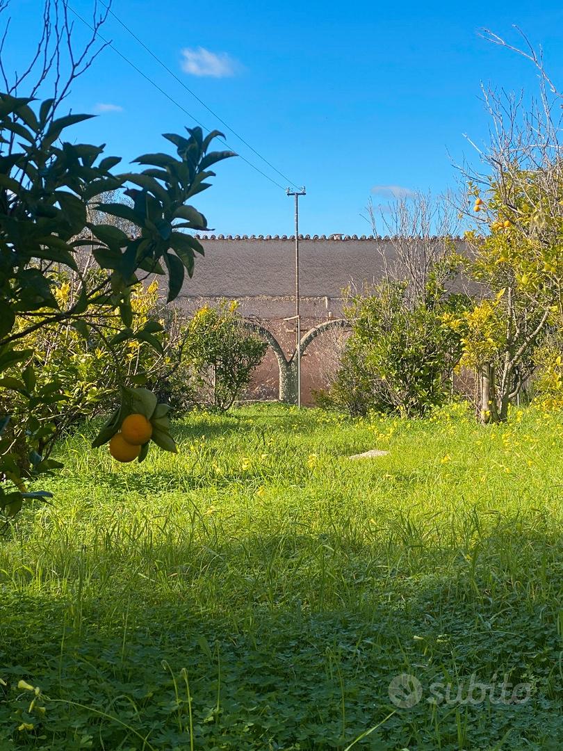 La Landrigga Antico Podere con ampio terreno - Vista 3