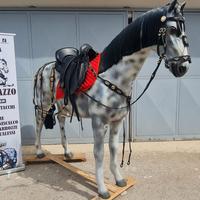 Selle POTRERA  complete di accessori 