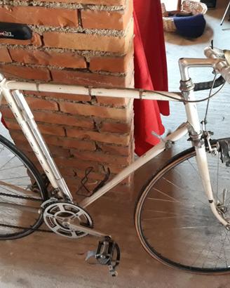 Bici da corsa