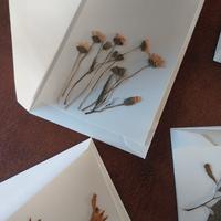 Fiori secchi su bigliettini