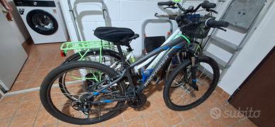 Bici da riparare