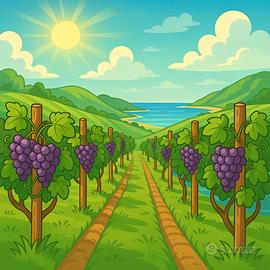 Vigneto di minimo 6 ettari