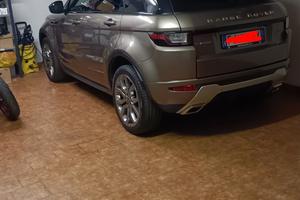 Ranger Evoque 