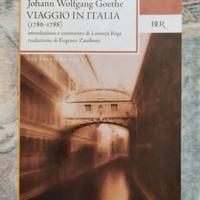 Viaggio in Italia Goethe 