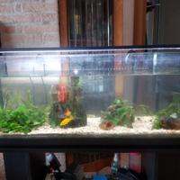 Acquario 100x30x40 cm. completo di mobile