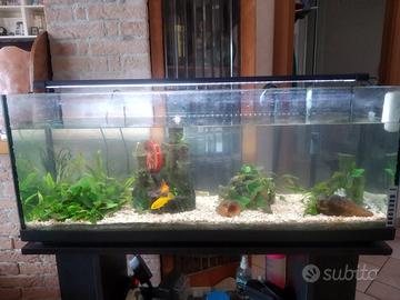 Acquario 100x30x40 cm. completo di mobile