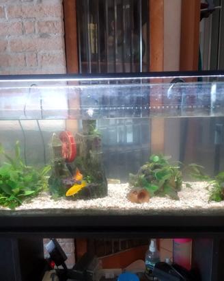 Acquario 100x30x40 cm. completo di mobile