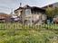 Immagine 16