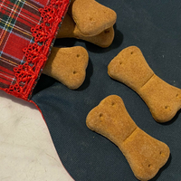 Calza befana per animali