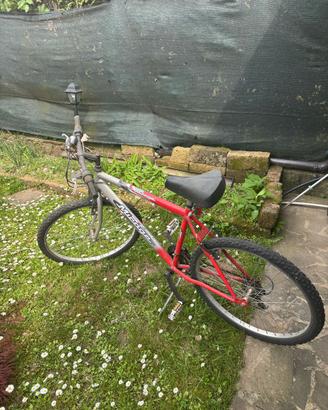 Bici uomo