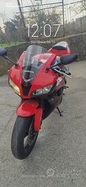 Honda CBR 600 rr