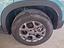 Immagine 15