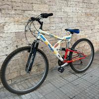 Bicicletta