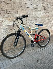 Bicicletta
