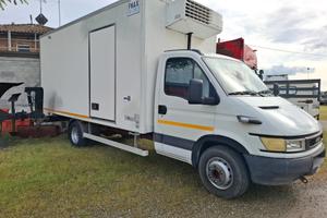 IVECO Daily 60C17 - Cassone Frigorifero Isotermico