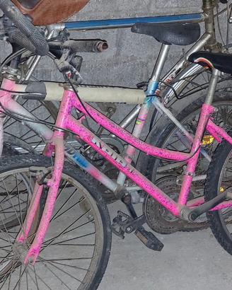 biciclette