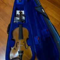 Violino