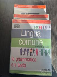 Lingua comune la grammatica e il testo